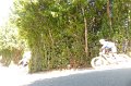 20220709-155918-[PAUxl]